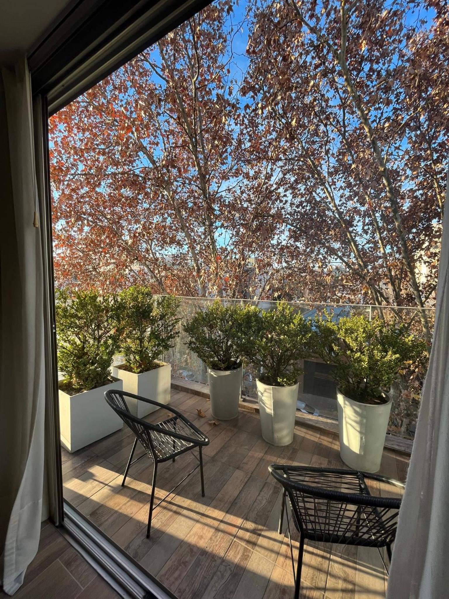 Ilum Experience Home — photo 2