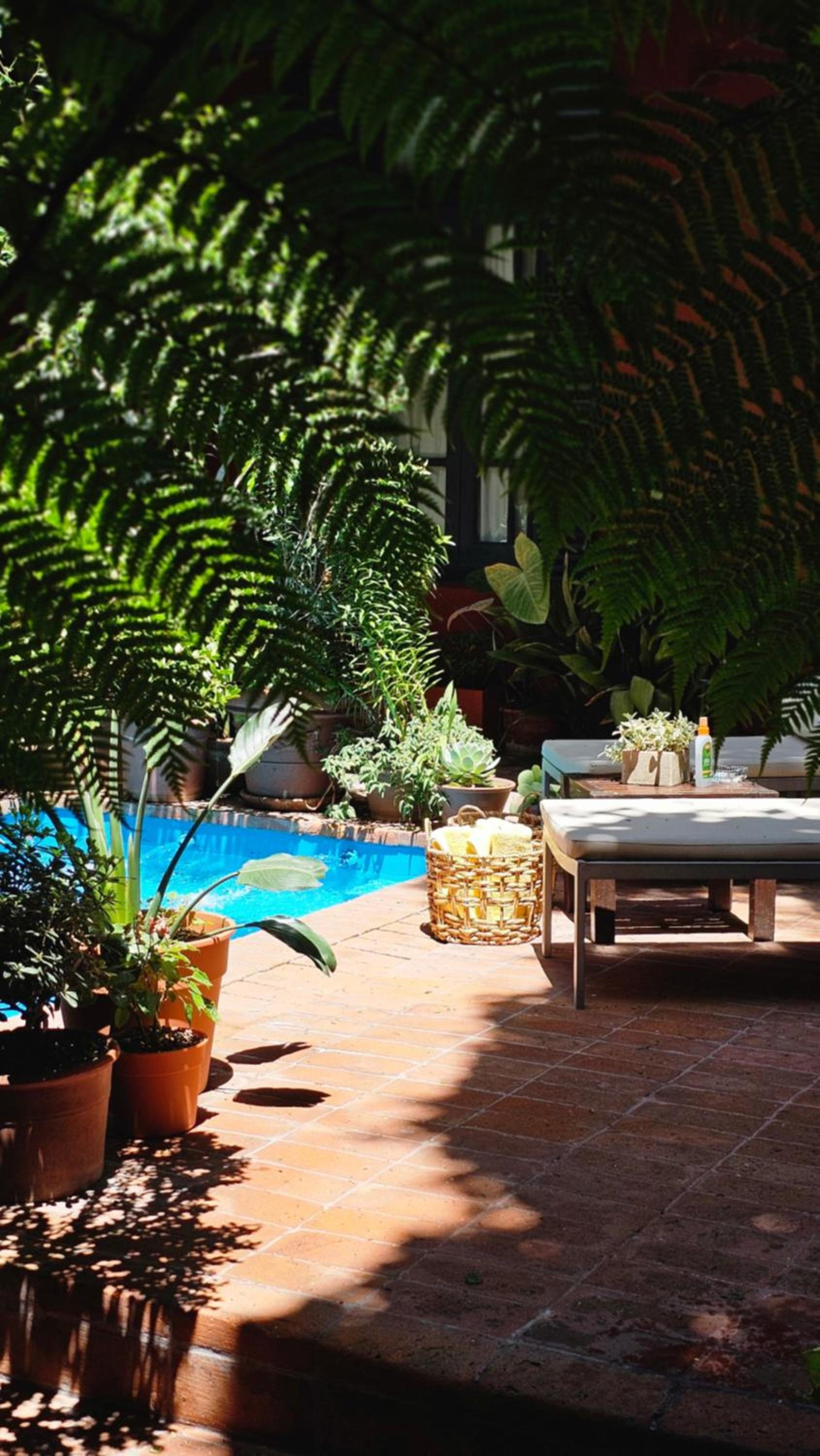 BE Jardin Escondido By Coppola — photo 6