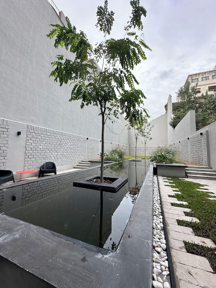 Babel Campus — photo 5